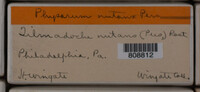 Image Associated With the Occurence